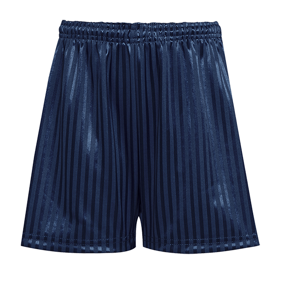 Shadow Stripe Navy Pe Shorts